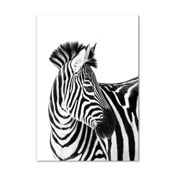 Foto obraz zdjęcie na szkle pionowy Zebra w śniegu