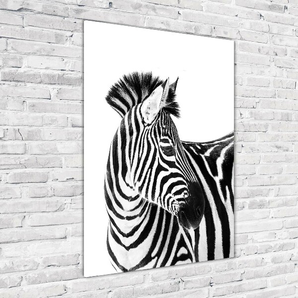 Foto obraz zdjęcie na szkle pionowy Zebra w śniegu