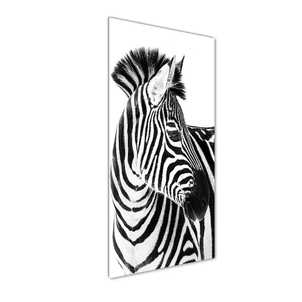 Foto obraz zdjęcie na szkle pionowy Zebra w śniegu