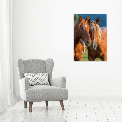 Foto obraz szkło hartowane pionowy Dwa konie