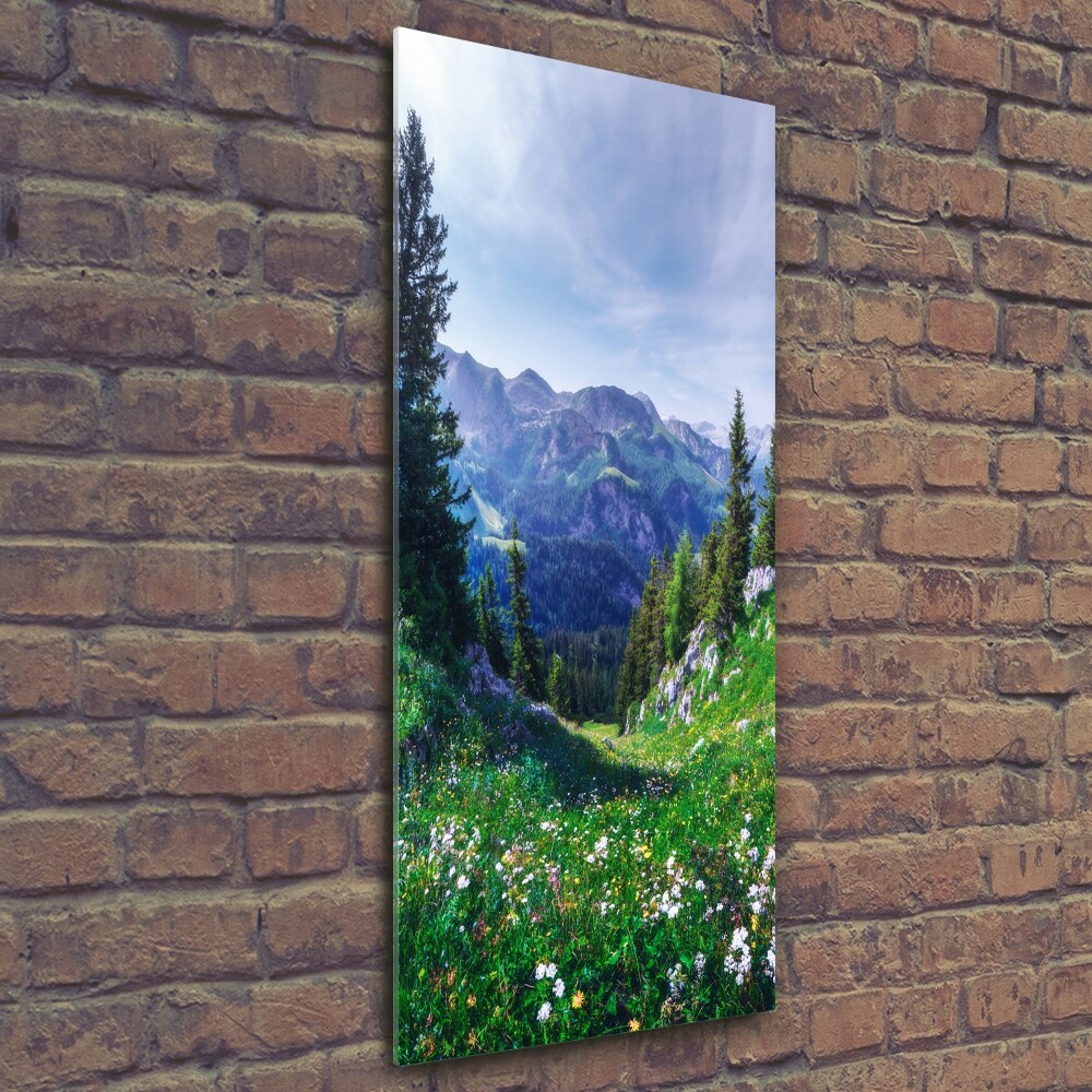 Nowoczesny foto obraz na ścianę pionowy Alpy