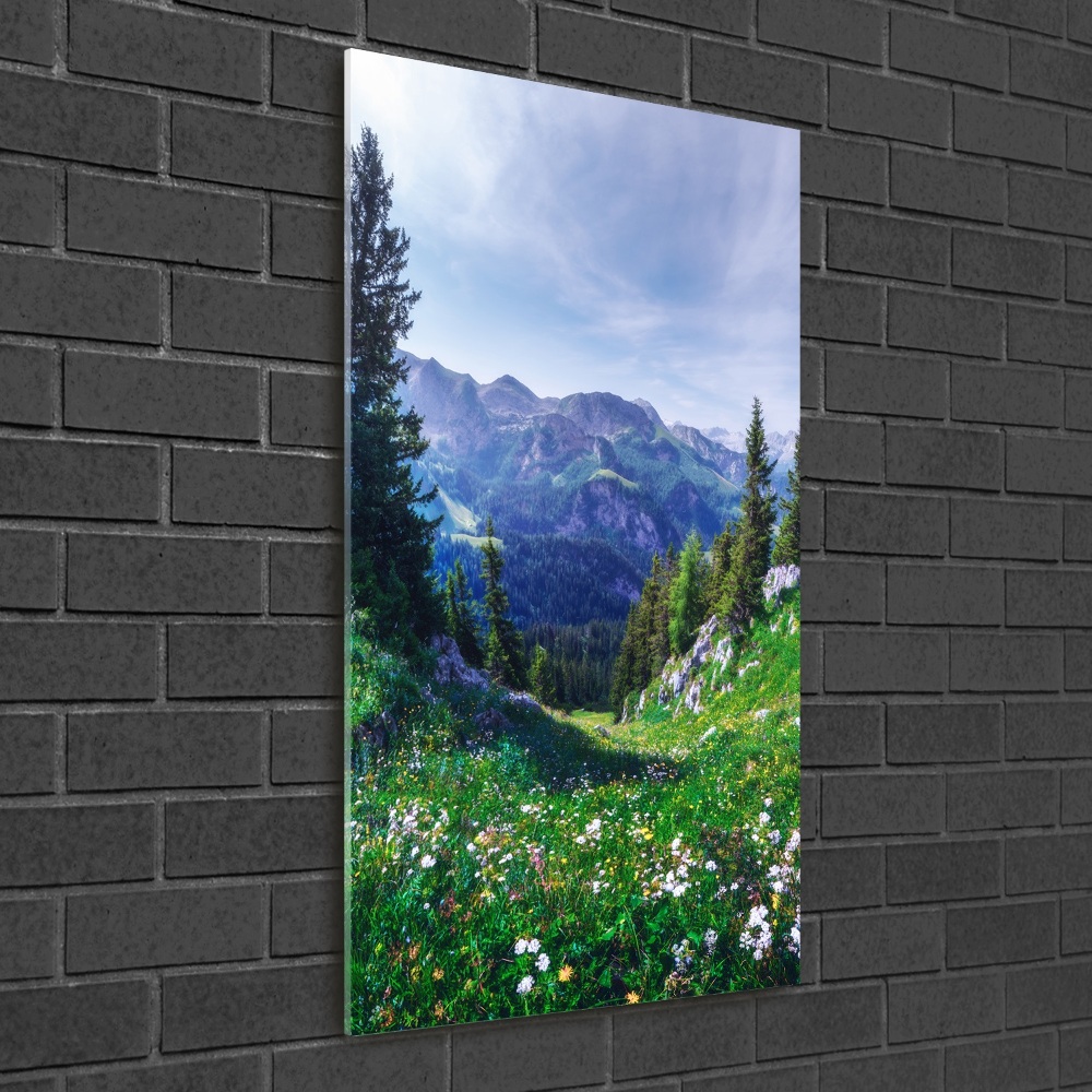 Nowoczesny foto obraz na ścianę pionowy Alpy