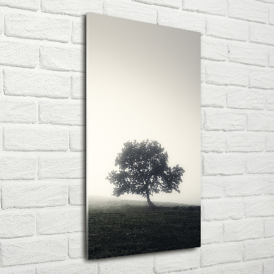 Foto obraz zdjęcie na szkle pionowy Drzewo we mgle