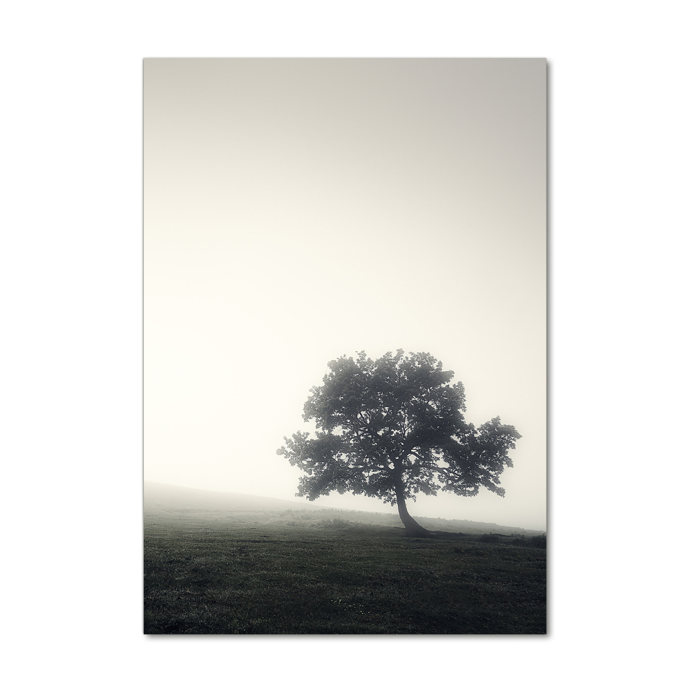 Foto obraz zdjęcie na szkle pionowy Drzewo we mgle