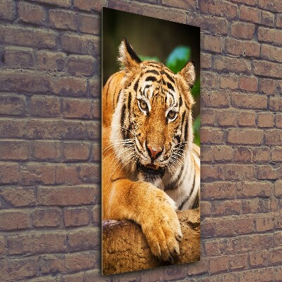 Foto obraz szklany pionowy Tygrys bengalski