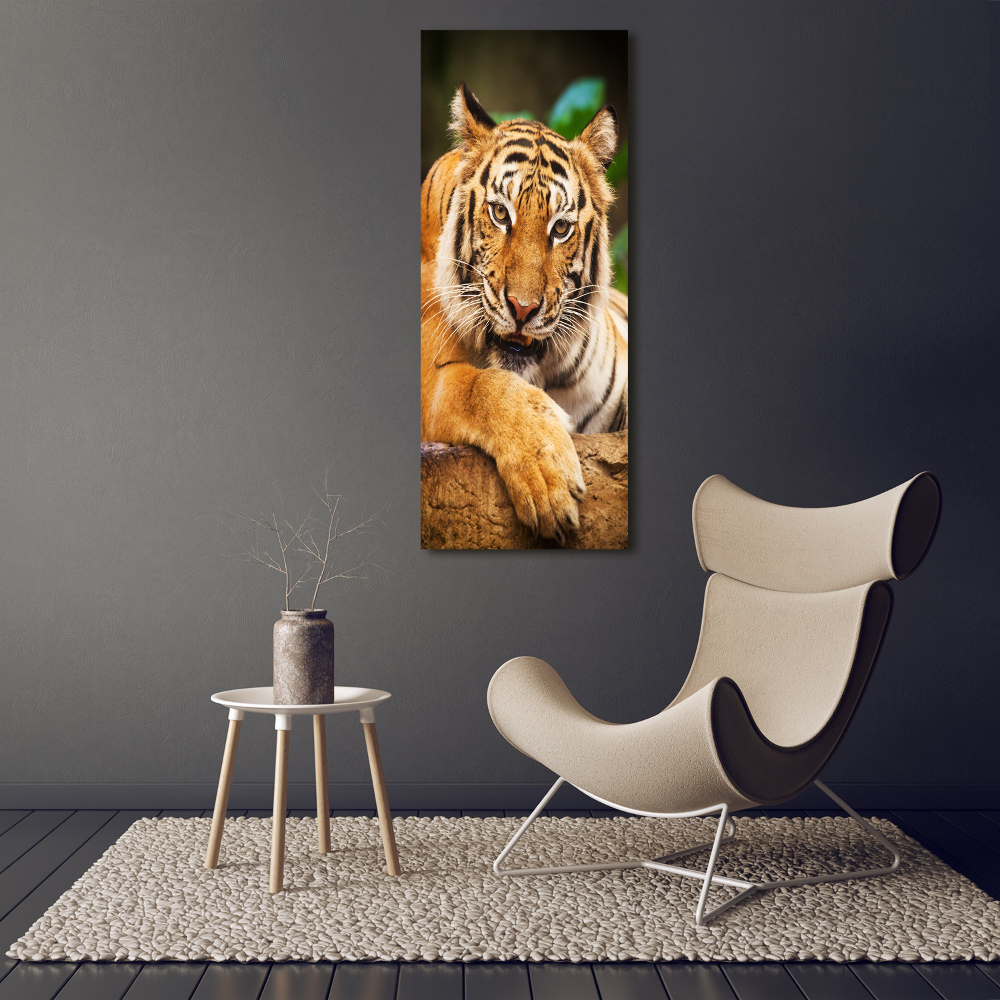 Foto obraz szklany pionowy Tygrys bengalski