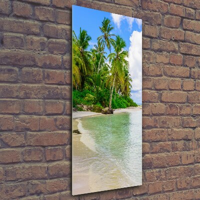 Foto obraz szklany pionowy Tropikalna plaża