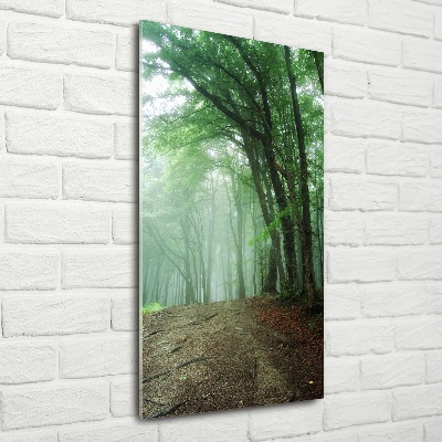 Foto obraz szkło hartowane pionowy Mgła w lesie