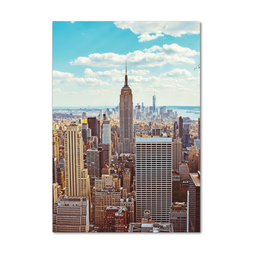 Foto obraz na szkle pionowy Nowy Jork lot ptaka