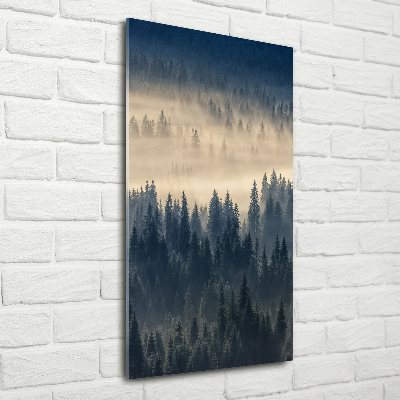 Foto obraz zdjęcie na szkle pionowy Mgła nad lasem