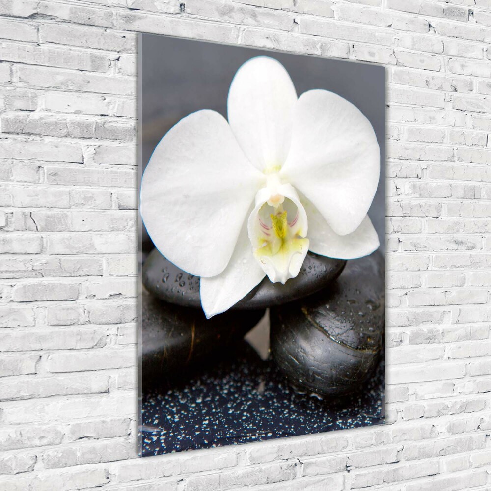 Foto obraz na szkle pionowy Orchidea i kamienie