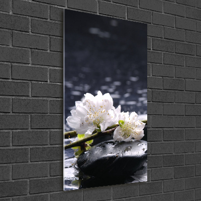 Foto obraz na szkle pionowy Kwiaty i kamienie