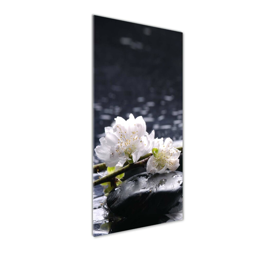 Foto obraz na szkle pionowy Kwiaty i kamienie