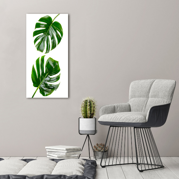 Foto-obraz szkło hartowane pionowy Monstera