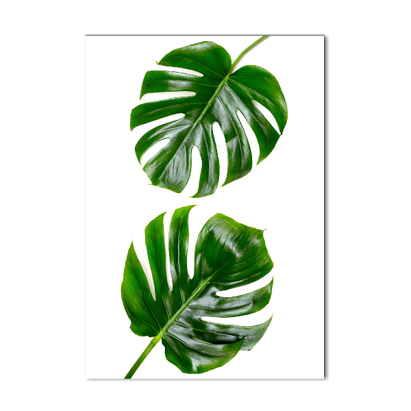 Foto-obraz szkło hartowane pionowy Monstera