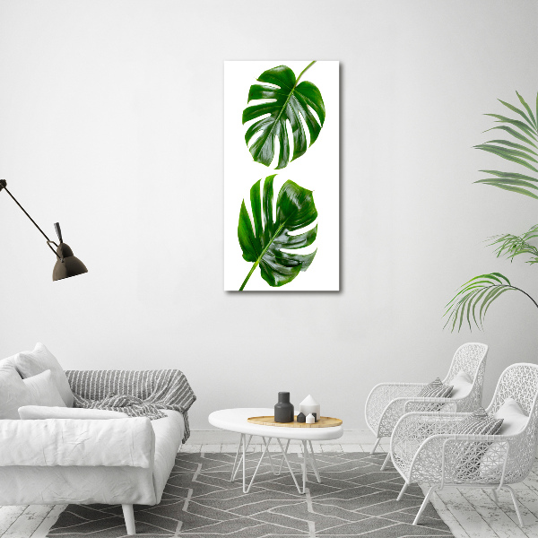 Foto-obraz szkło hartowane pionowy Monstera
