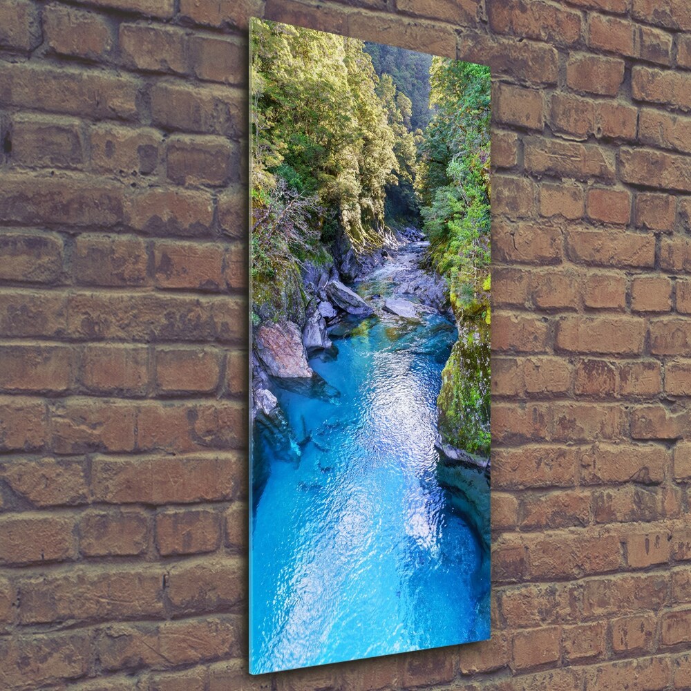 Foto obraz szkło hartowane pionowy Rzeka w lesie