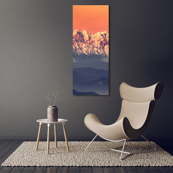 Foto obraz zdjęcie na szkle pionowy Panorama Tatry
