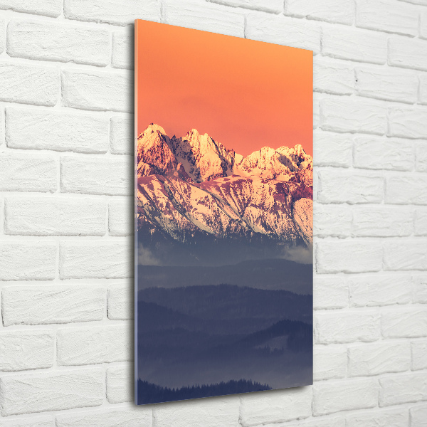 Foto obraz zdjęcie na szkle pionowy Panorama Tatry