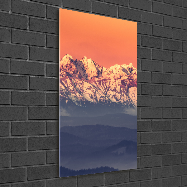 Foto obraz zdjęcie na szkle pionowy Panorama Tatry