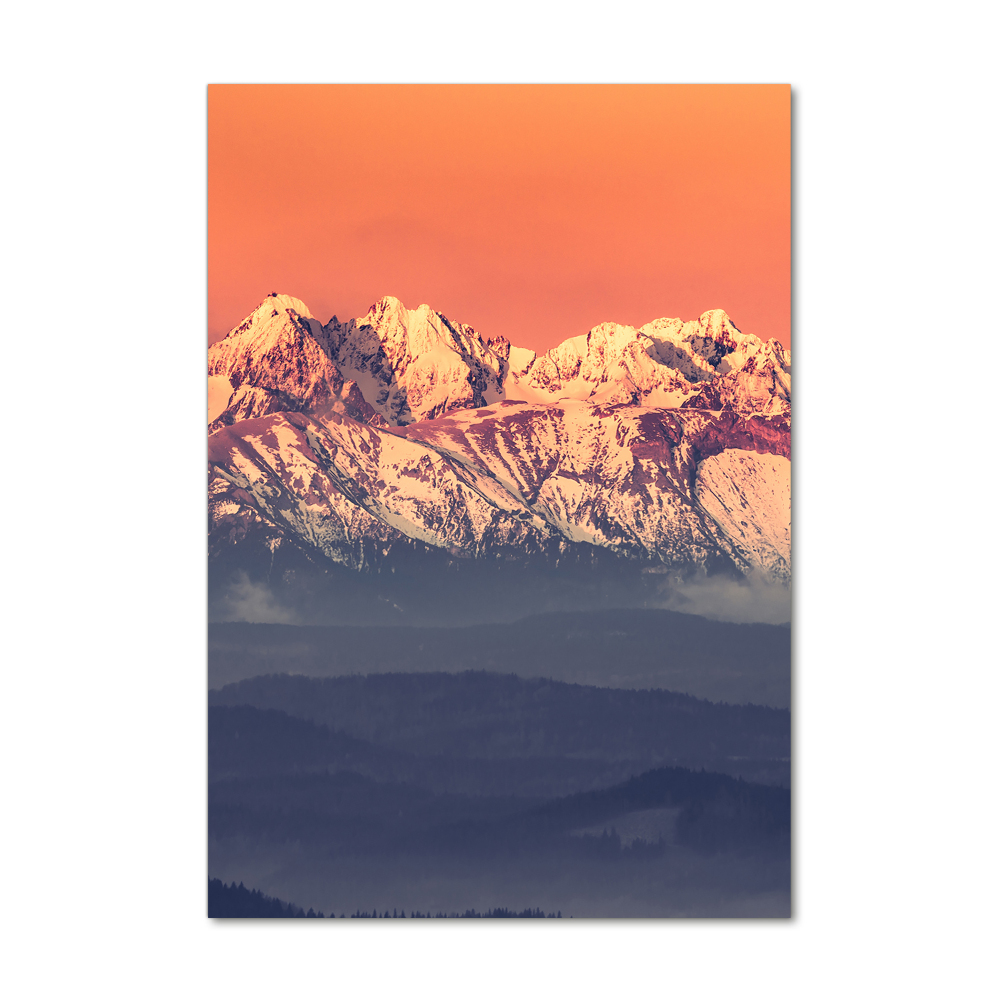 Foto obraz zdjęcie na szkle pionowy Panorama Tatry