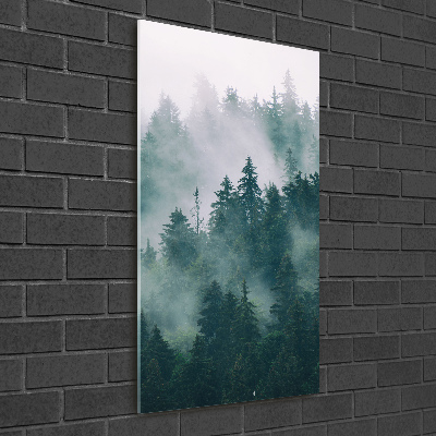 Foto obraz zdjęcie na szkle pionowy Mgła nad lasem