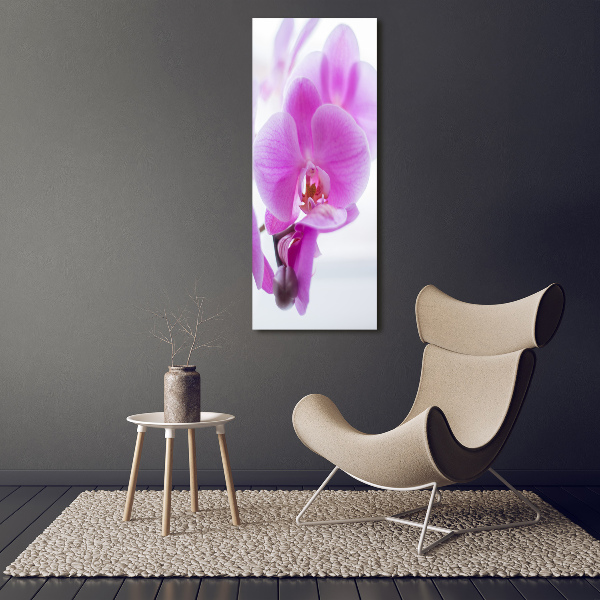 Foto obraz na szkle pionowy Różowa orchidea