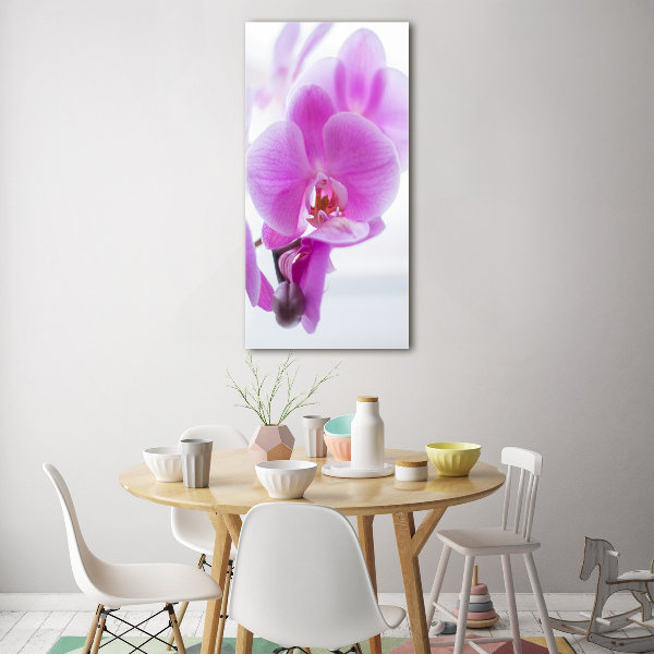 Foto obraz na szkle pionowy Różowa orchidea