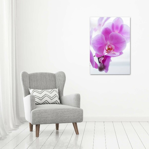 Foto obraz na szkle pionowy Różowa orchidea