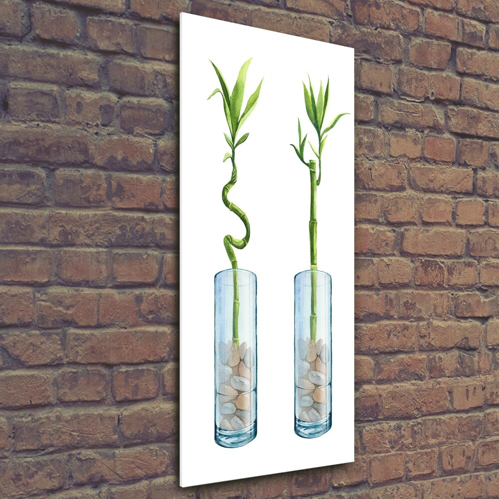 Foto obraz na szkle pionowy Bambus w doniczce