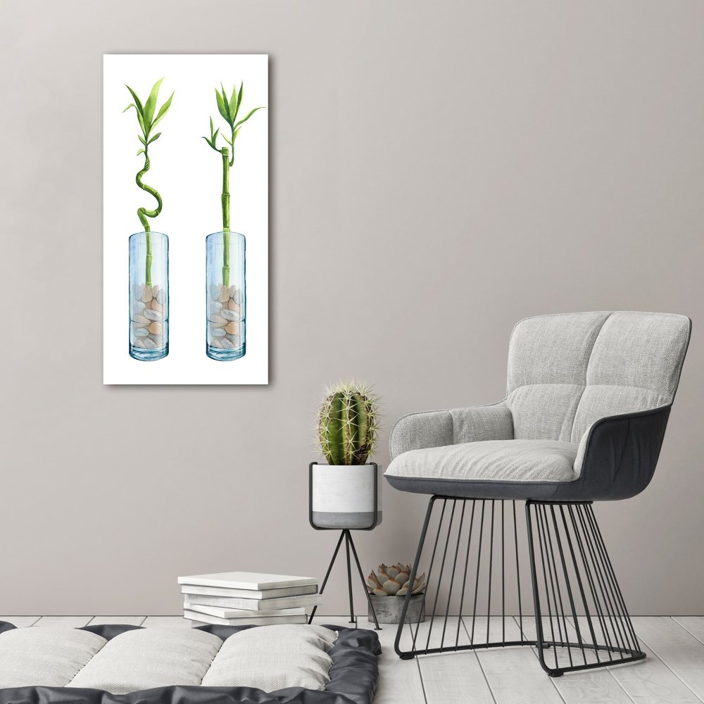 Foto obraz na szkle pionowy Bambus w doniczce