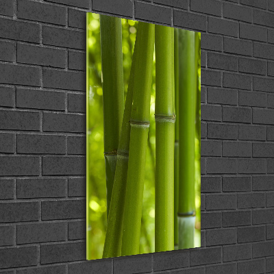 Foto obraz szkło hartowane pionowy Bambusowy las