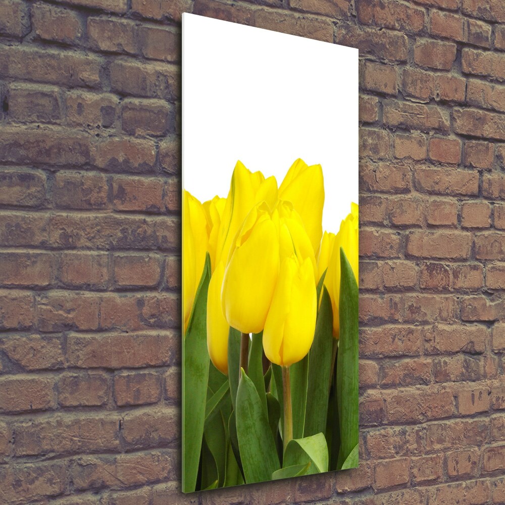 Foto obraz zdjęcie na szkle pionowy Żółte tulipany