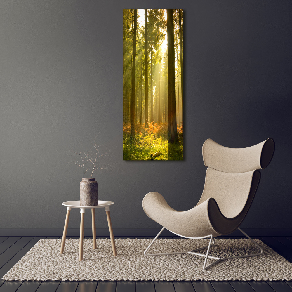 Foto obraz szkło hartowane pionowy Piękny las