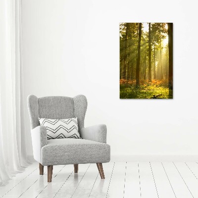 Foto obraz szkło hartowane pionowy Piękny las