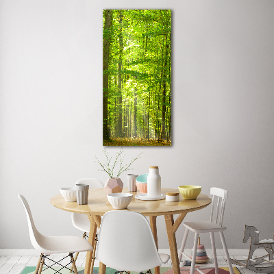 Foto obraz szkło hartowane pionowy Las bukowy