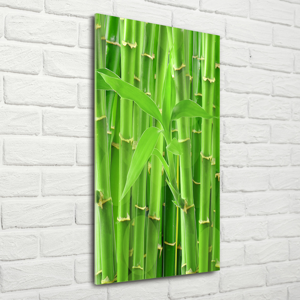 Foto obraz szkło hartowane pionowy Bambusowy las