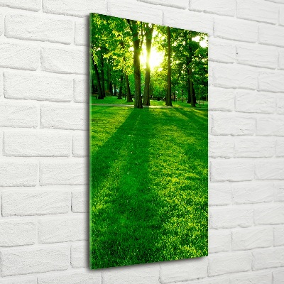 Foto obraz zdjęcie na szkle pionowy Słońce w parku