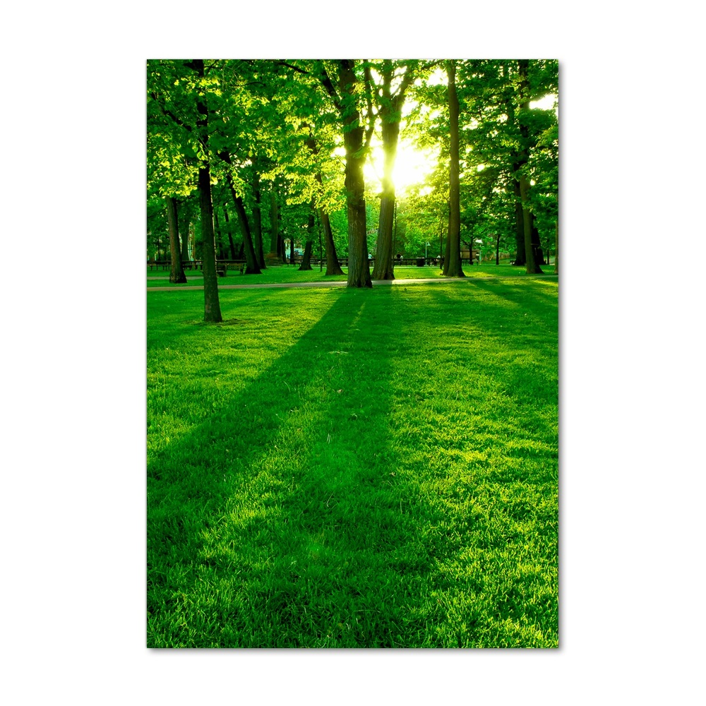 Foto obraz zdjęcie na szkle pionowy Słońce w parku