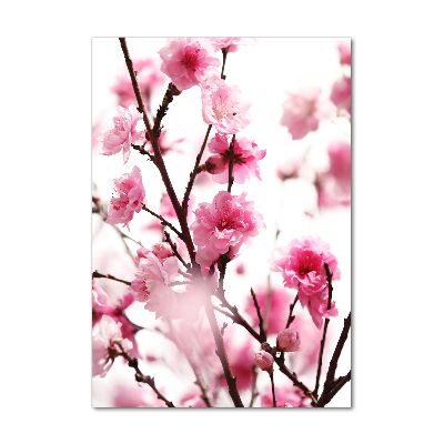 Foto obraz szkło hartowane pionowy Kwiaty śliwki