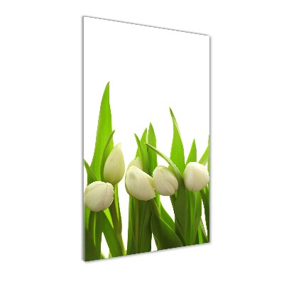 Foto obraz zdjęcie na szkle pionowy Białe tulipany