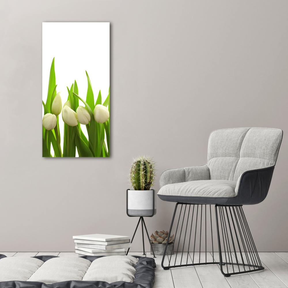 Foto obraz zdjęcie na szkle pionowy Białe tulipany