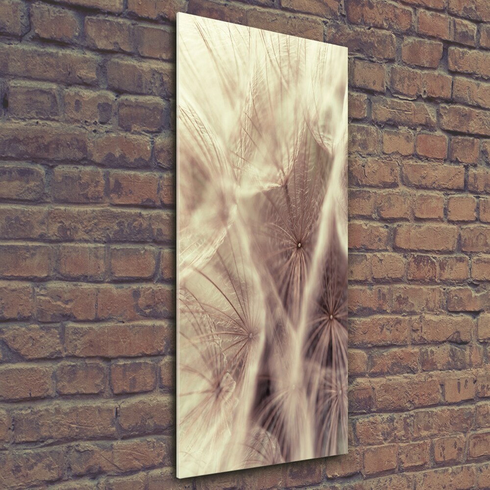 Foto obraz szkło hartowane pionowy Dmuchawiec