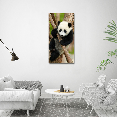 Foto obraz szklany pionowy Panda na drzewie