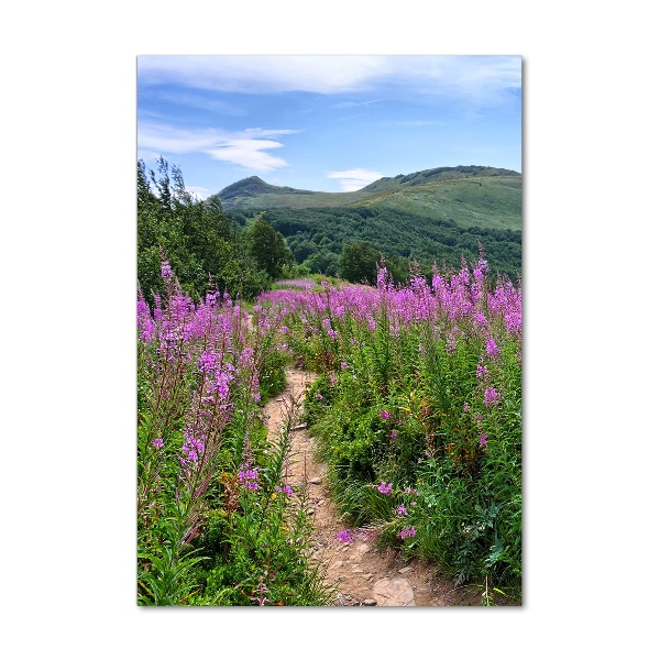Foto obraz szkło hartowane pionowy Bieszczady