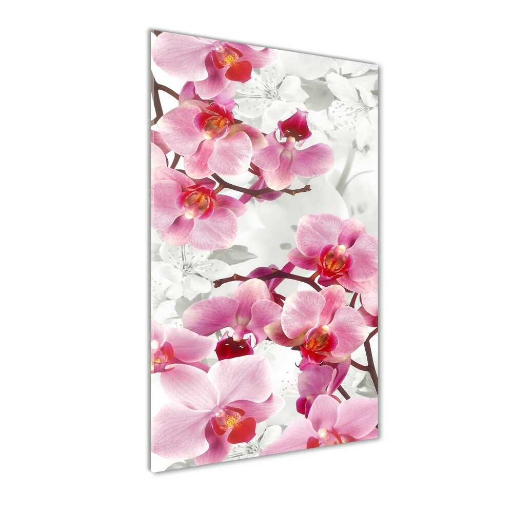 Foto obraz na szkle pionowy Różowa orchidea