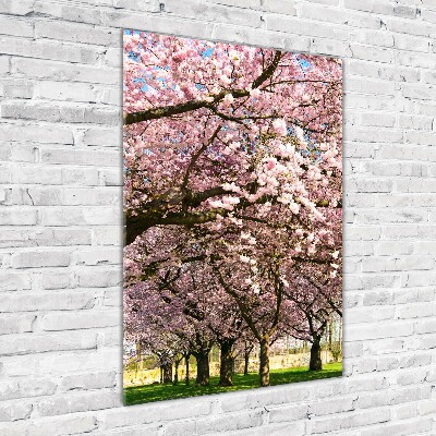 Foto obraz szkło hartowane pionowy Drzewa wiśni
