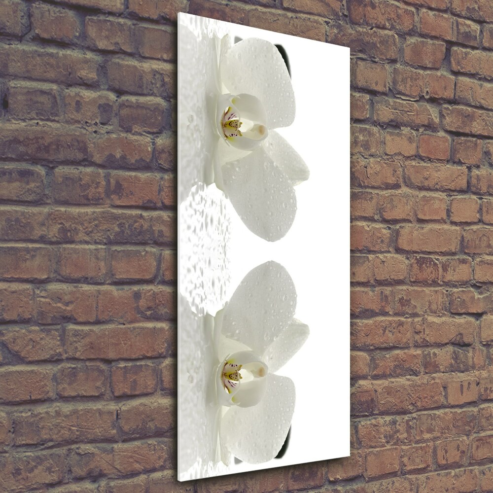 Foto obraz na szkle pionowy Orchidea i kamienie