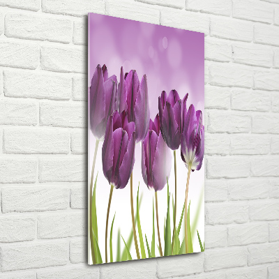 Foto obraz na szkle pionowy Fioletowe tulipany