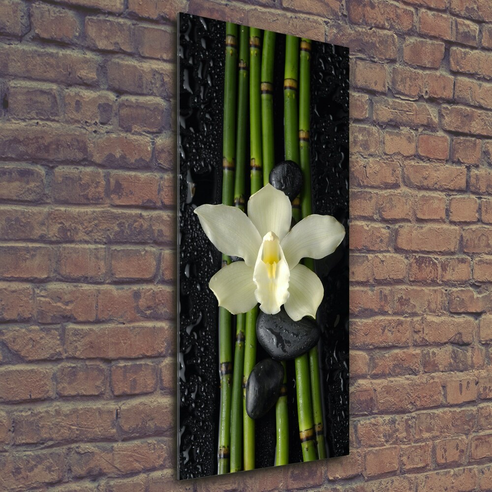Foto obraz na szkle pionowy Orchidea i bambus
